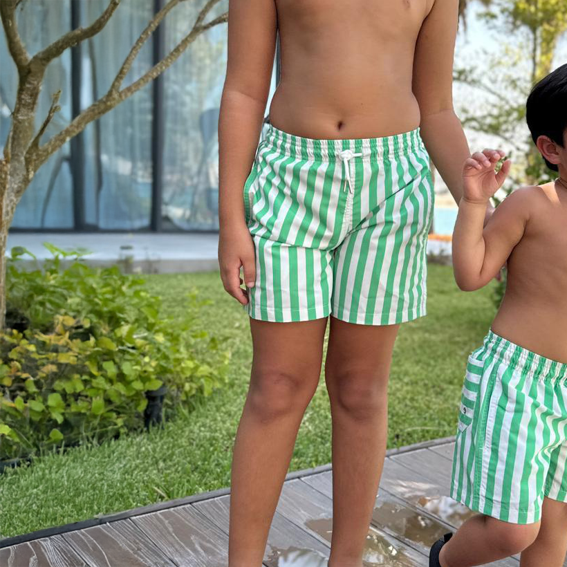 Green Shades Stripes Men Swim Shorts - Loomaswim.com