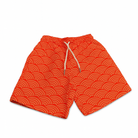 Sunburst Wave Swim Shorts – Men - Loomaswim.com